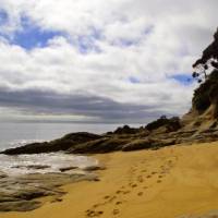 Walking across the golden sandy beaches of the Abel Tasman | Polit Union