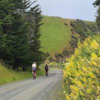 Heading to Cannibal Bay, Southland | Annie Lowerson