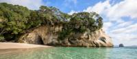 Cathedral Cove - TNZ | Matt Crawford