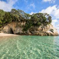 Cathedral Cove - TNZ | Matt Crawford