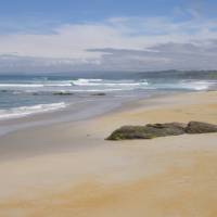 Wild seas and sandy bays on the Catlins Coastline | Sandra Appleby