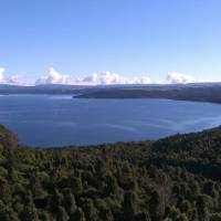 Enjoying the serenity riding through the Central North Island | Guide Anne Lowerson