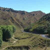 Enjoying the serenity riding through the Central North Island | Guide Anne Lowerson