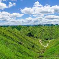 Scenery riding along the Forgotten Highway | Adventure South NZ