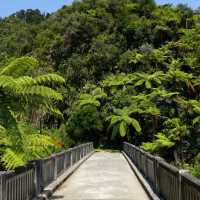 Scenery along the Mt Ruapehu & the 3 Rivers cycle | Adventure South NZ