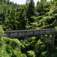 Scenery along the Mt Ruapehu & the 3 Rivers cycle | Adventure South NZ