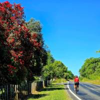 North Island Trip with Sue and Annie | Annie Lowie