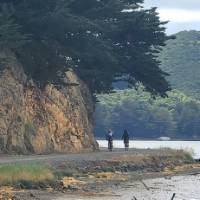 Otago Peninsula Hoopers Inlet | Annie Lowerson