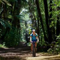 Cycling through the native New Zealand bush | Legend Photography