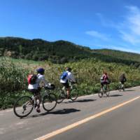 Road cyclists in Hokkaido
