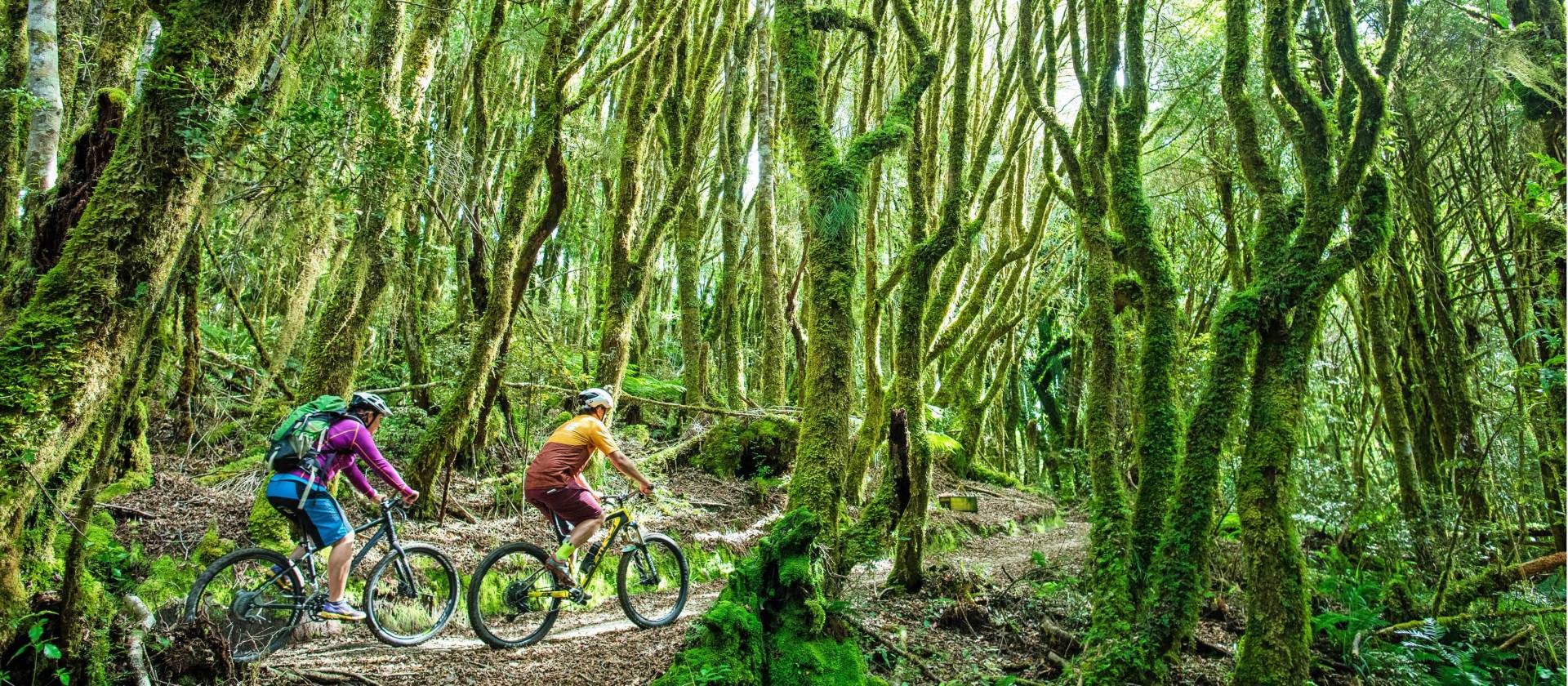 pacific timber trail bike