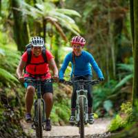 Cyclists riding the Timber Trail | StudioZag.com