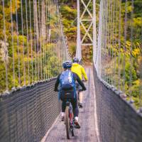 Riders enjoying their time cycling along the Timber Trail | Timber Trail Lodge