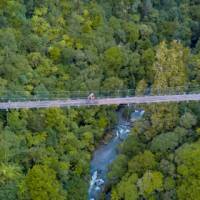 Cyclists riding the Timber Trail | BareKiwi.com