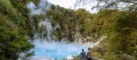 Rotorua is known for its geothermal activity | Miles Holden