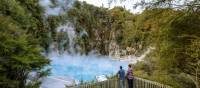 Rotorua is known for its geothermal activity | Miles Holden