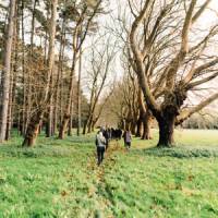Truffle Hunting at Wallingford Homestead | Wallingford Homestead