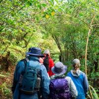 Hiking Ulva Island | S Dunley