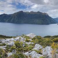 Fiordland panorama | Chris Hill