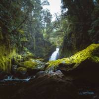 The beauty of Fiordland | Neville Porter