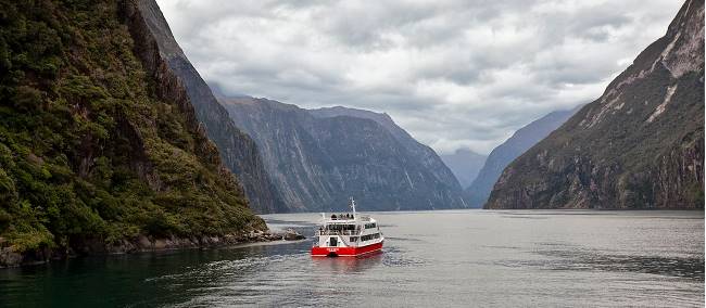 Cruising on Milford Sound | Peter Walton