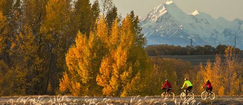 best time to cycle