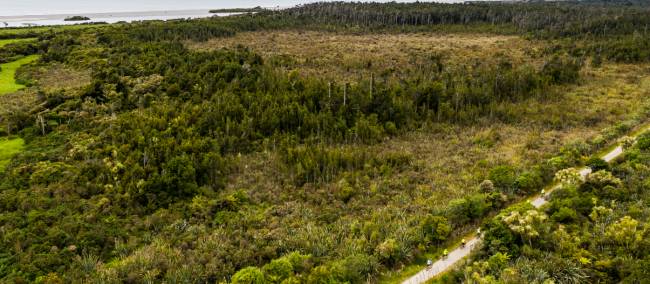 Cycling through the West Coast wetlands | Lachlan Gardiner