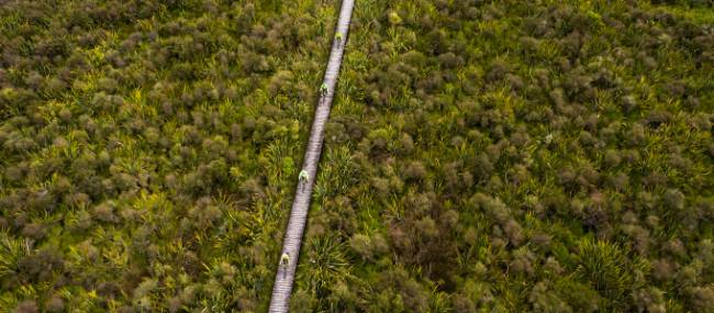 Cycling through the West Coast wetlands | Lachlan Gardiner