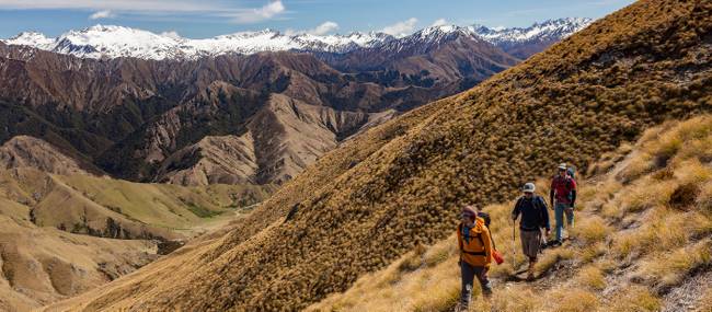 Walking through the tussocklands of Ben Lomond Station | Colin Monteath